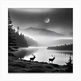 Black And White Deer 1 Canvas Print