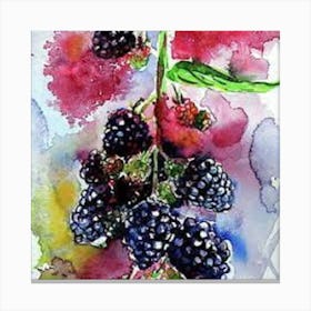 Blackberries On The Vine Canvas Print