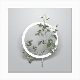 Vintage White Sweetbriar Rose Minimalist Flower Geometric Circle on Soft Gray n.0545 Canvas Print