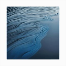 Water Ripples Canvas Print