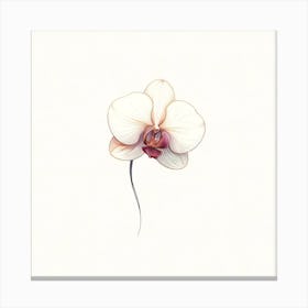 Orchid Flower Canvas Print