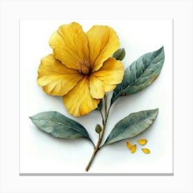 Yellow Hibiscus 2 Canvas Print