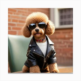 Poodle In Leather Jacket Canvas Print