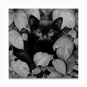 Black and White Black Cat In Leaves 5 Canvas Print