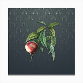 Vintage Peach Botanical on Slate Gray Pattern n.2139 Canvas Print