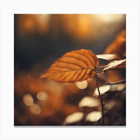 Autumn Leaf - Autumn Stock Videos & Royalty-Free Footage Canvas Print