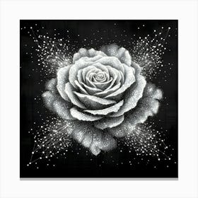 White Rose On A Black Background Canvas Print