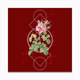 Vintage Four Seasons Rose in Bloom Botanical with Geometric Line Motif and Dot Pattern n.0260 Canvas Print
