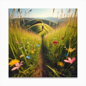 Path In The Meadow Canvas Print