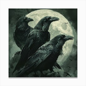 Ravens Canvas Print