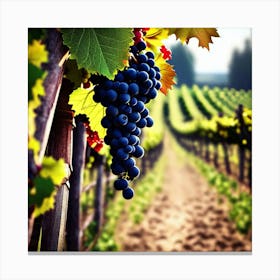 Grapes In The Vineyard Canvas Print