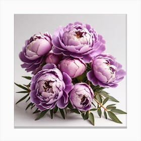 Purple Peonies Canvas Print