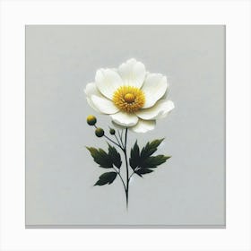 White jasmine 2 Canvas Print