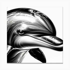 Dolphins In Black And White Canvas Print