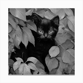 Black and White Black Cat In Leaves 1 Canvas Print
