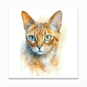 Malayan Cat Portrait 1 Canvas Print