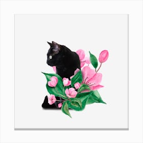 Cherry blossom cat Canvas Print