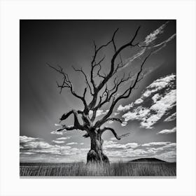 Dead Tree Canvas Print