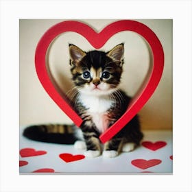 Cat heart Canvas Print