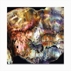 Mother Of Pearl Canvas Print