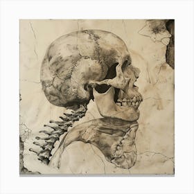 Skull And Neck Canvas Print