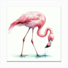 Pink Flamingo 6 Canvas Print