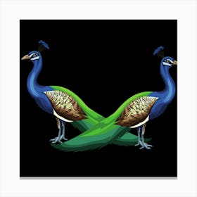 Peacocks Canvas Print