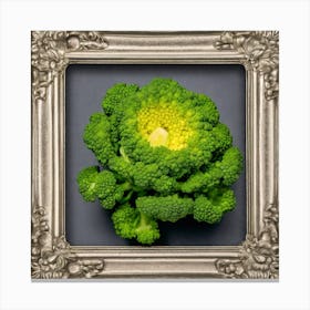 Brocolli 1 Canvas Print