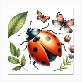 Ladybird 3 Canvas Print