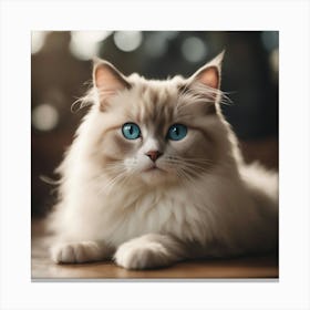 Cat With Blue Eyes Canvas Print