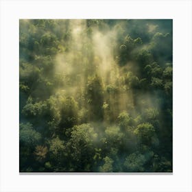 Aerial View Of A Forest Canvas Print