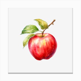 Red Apple On Black Background Canvas Print