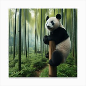 Panda Bear In Bamboo Forest 8 Canvas Print