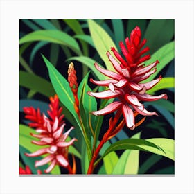 Alpines Purpurate Red Ginger Flower Art Print 2 Canvas Print