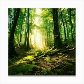 Firefly Enchanted Magical Forest Background 75959 Leinwandbild