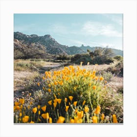 Yellow Flowers Square Canvas Print