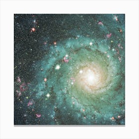 Spiral Galaxy Toile