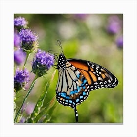 Monarch Butterfly 2 Canvas Print
