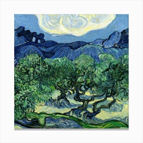 Olive Trees Canvas Print