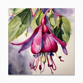 study of a fuchsia Canvas Print