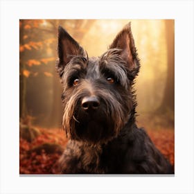 Scottish Terrier 2 Canvas Print