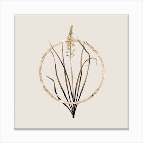 Gold Ring Wild Asparagus Glitter Botanical Illustration n.0274 Canvas Print