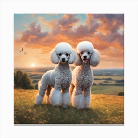 Two Poodles At Sunset Canvas Print