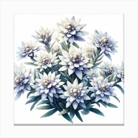 Flowers of Edelweiss 1 Canvas Print