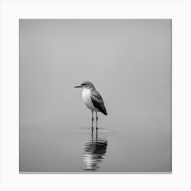 Sandpiper 2 Canvas Print