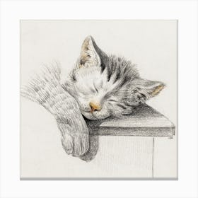 Sketch Of A Sleeping Cat 1, Jean Bernard Canvas Print