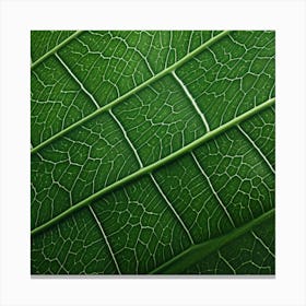 Photography Of The Texture Of A Lush Tropical Leaf2 Canvas Print