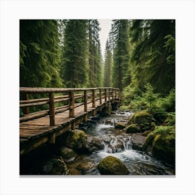 Wooden Bridge In The Forest Canvas Print