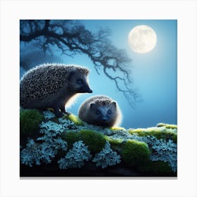 Hedgehogs At Night Canvas Print