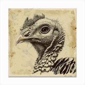 Turkey Head Canvas Print